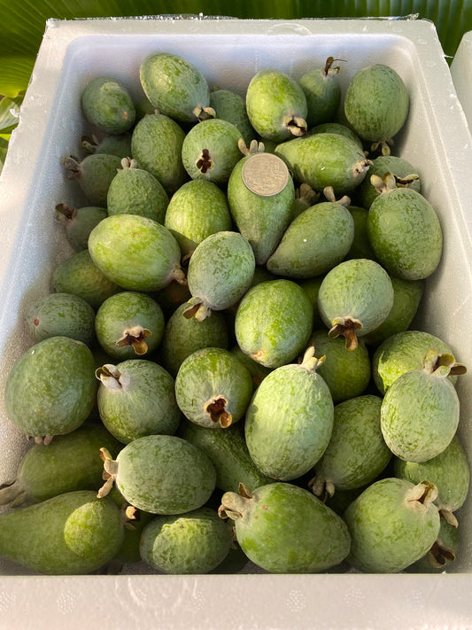 FEIJOAS 5KG - NITI