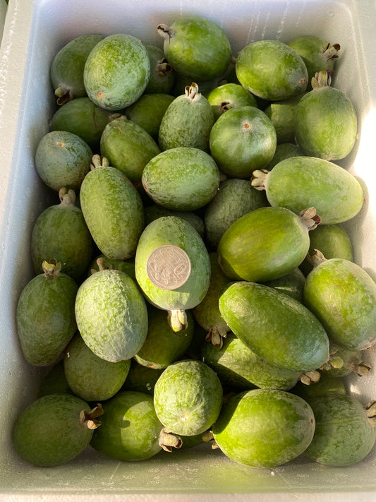 FEIJOAS 5KG - WAENGANUI