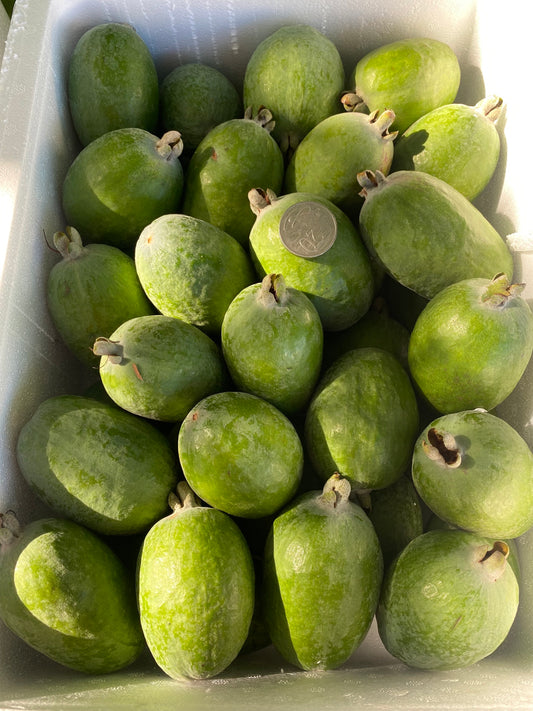 FEIJOA 5KG - NUI