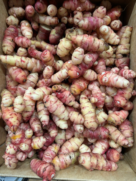 YAMS (OCA)