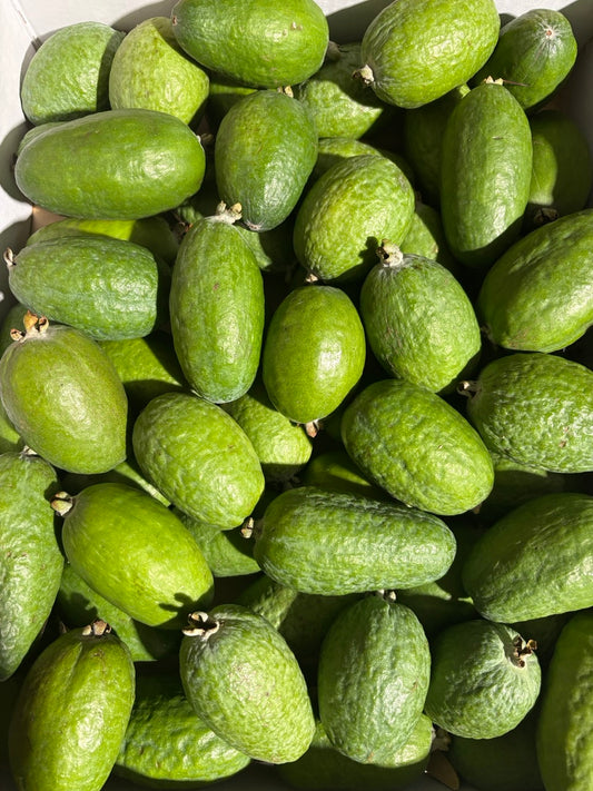 FEIJOA 5KG - NUI (WA)