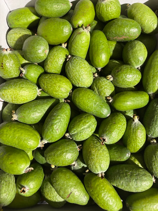 FEIJOAS 5KG - WAENGANUI (WA)
