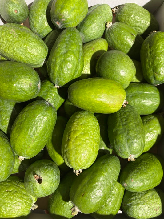 FEIJOA 5KG - XLARGE (WA)
