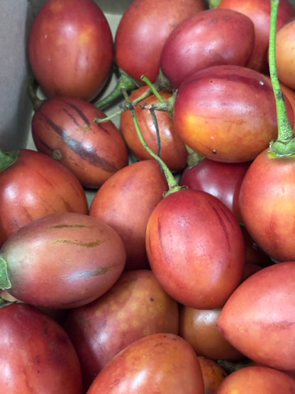 Tamarillo - Red - Bulk