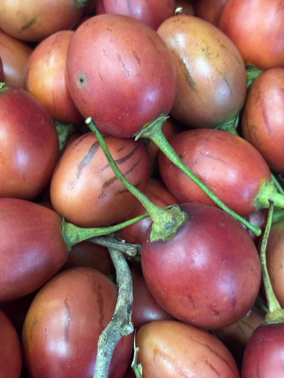 TAMARILLO Whero