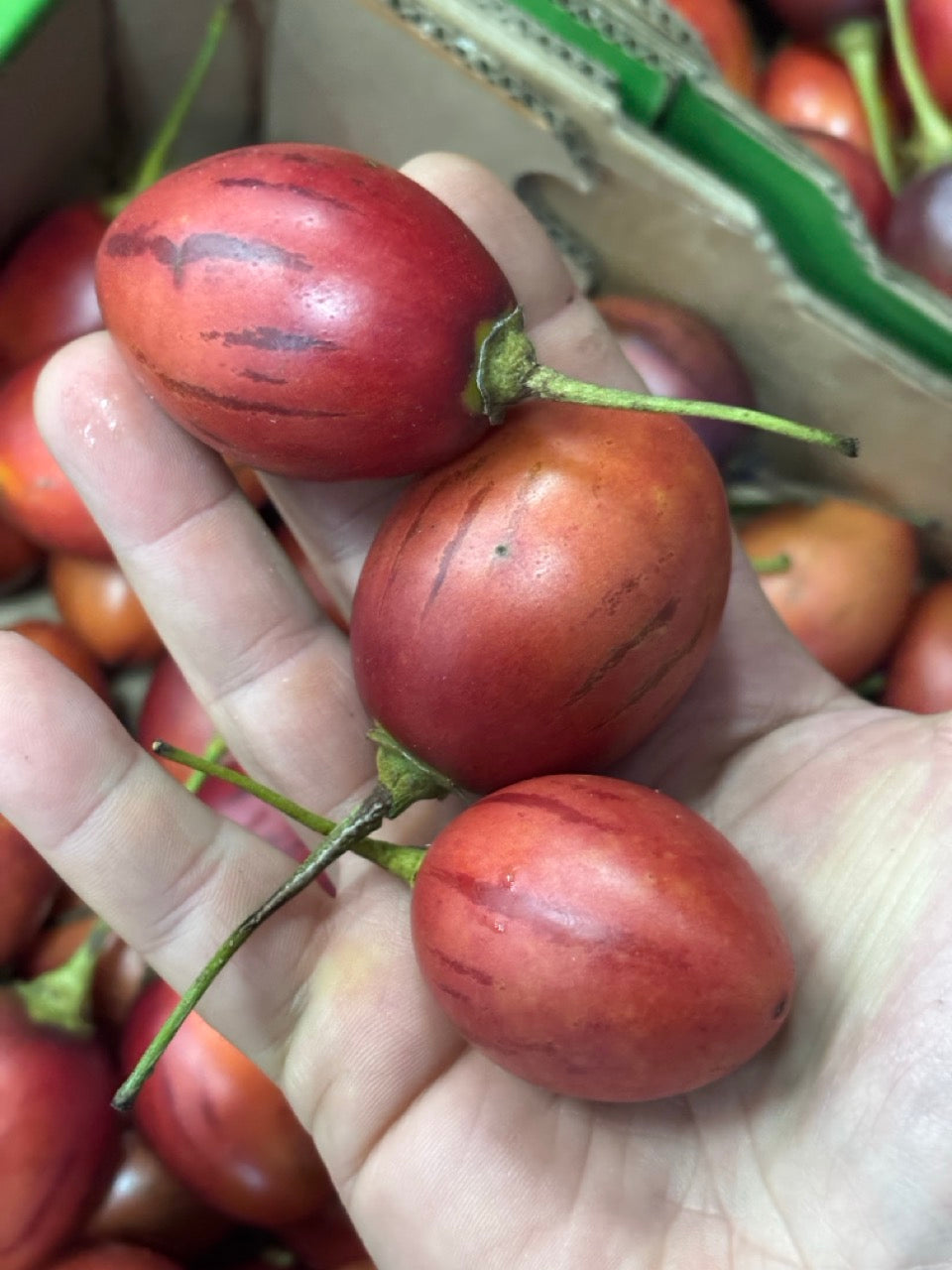 TAMARILLO Whero