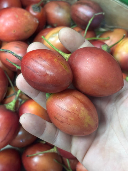 Tamarillo - Red - Bulk