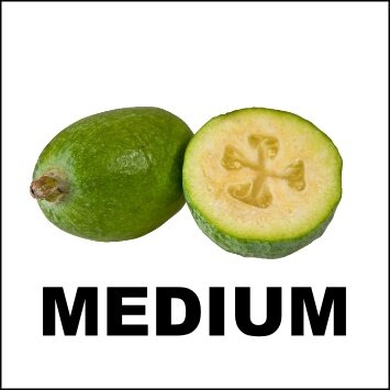 FEIJOAS 5KG - MEDIUM (WA)