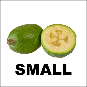 FEIJOAS 5KG - NITI
