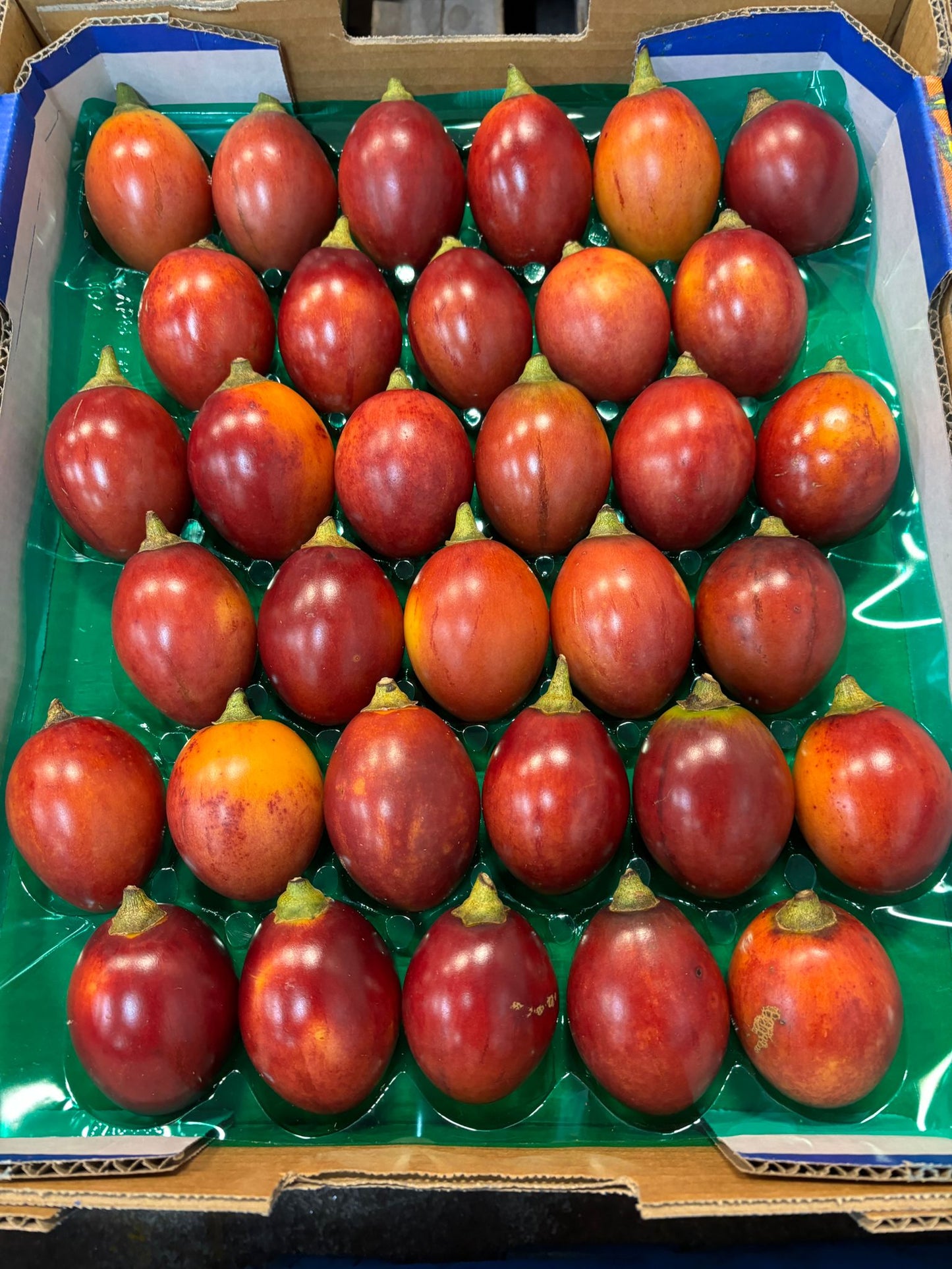 TAMARILLO Whero