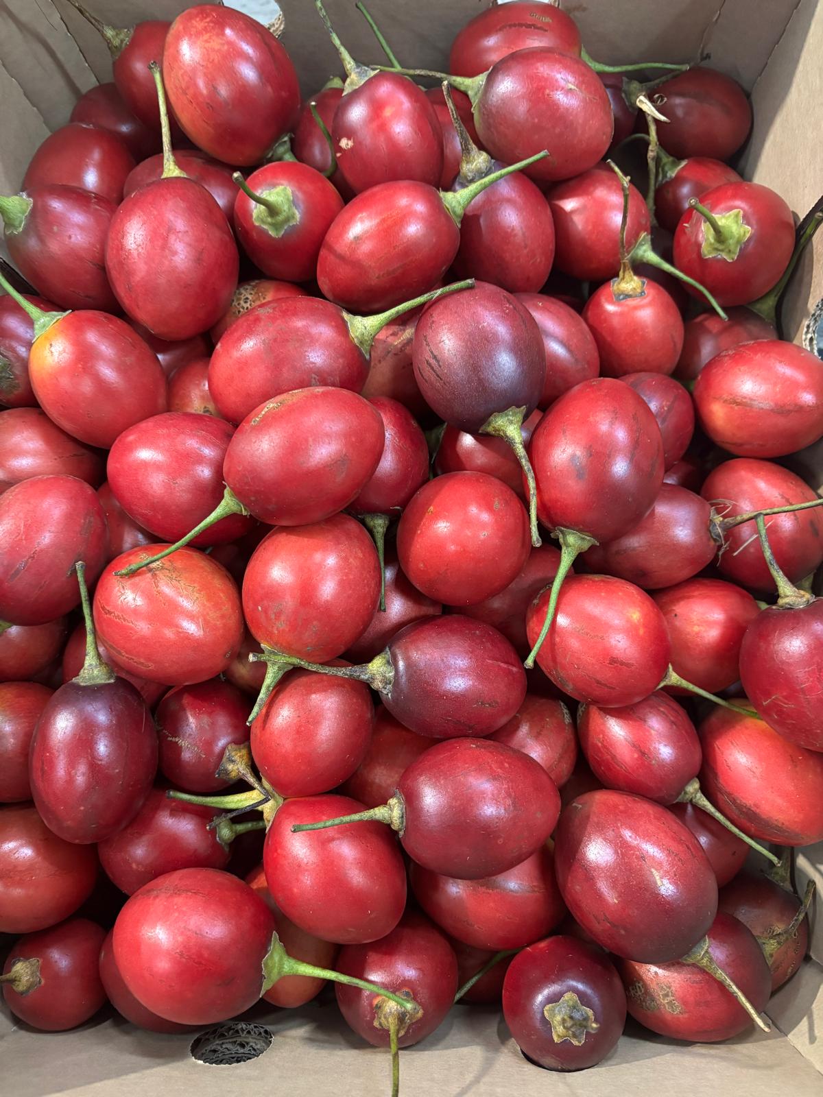 Tamarillo - Red