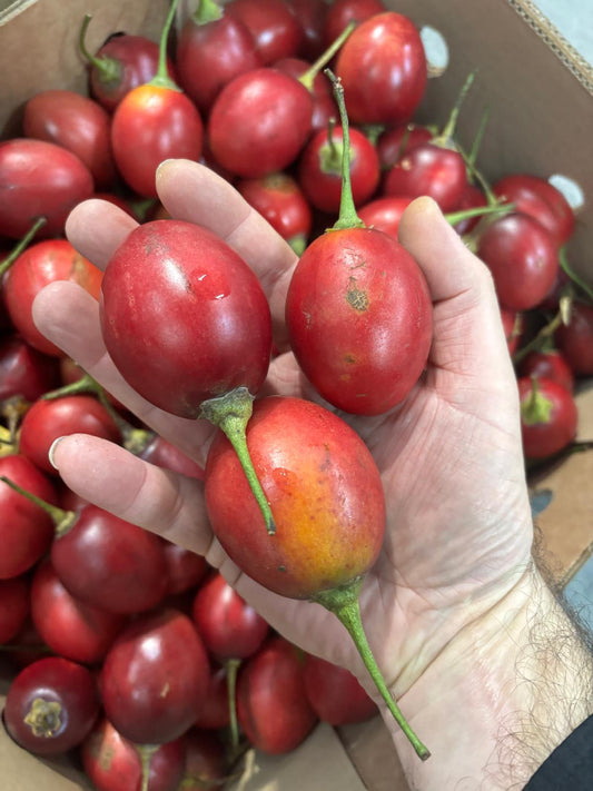 Tamarillo - Red