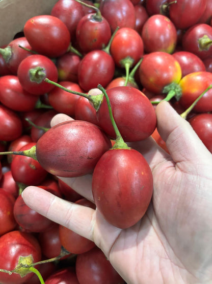 Tamarillo - Red