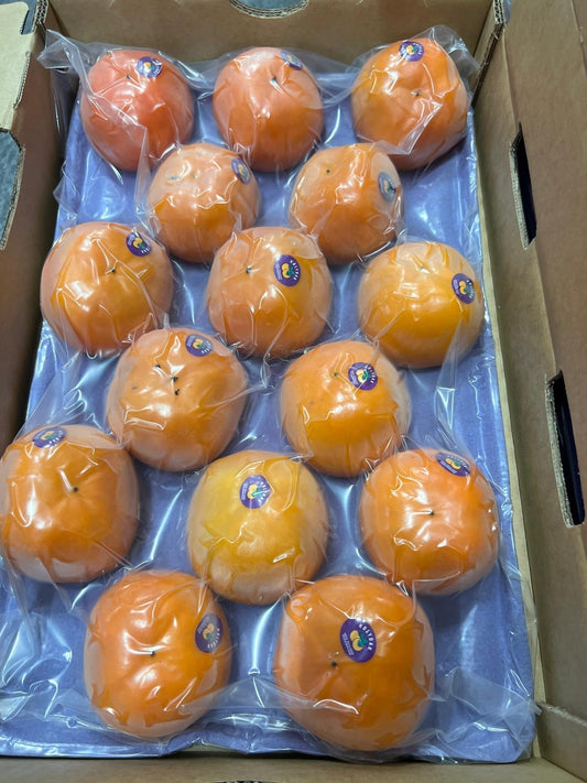 Persimmon (New Zealand)