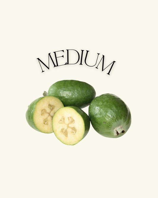 FEIJOAS 5KG - MEDIUM (WA)