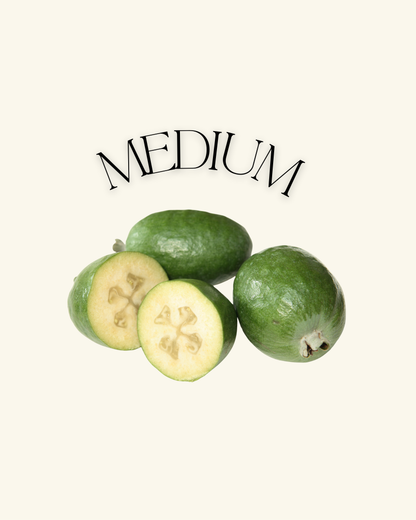 FEIJOAS 5KG - MEDIUM